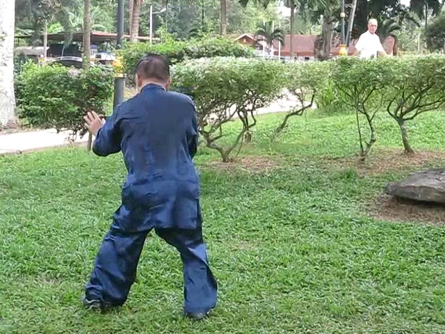 Wu Yu Xiang Style Taijiquan